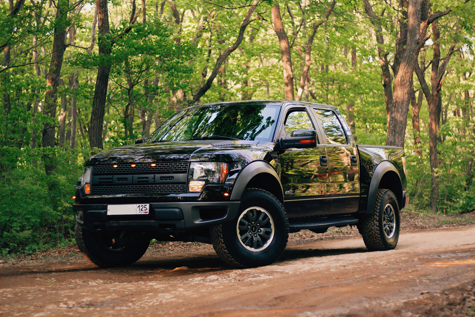 Black pickup truck parked on forest dirt road